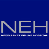 Neh Logo 2 Neh Logo 2