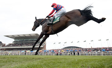 Sprinter Sacre - Aintree 14.4.12