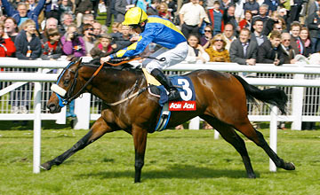 Caspar Netscher - Newbury 21.04.2012