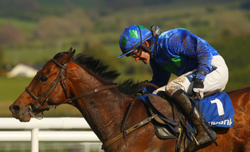 Hurricane Fly - Punchestown - 27.04.2012