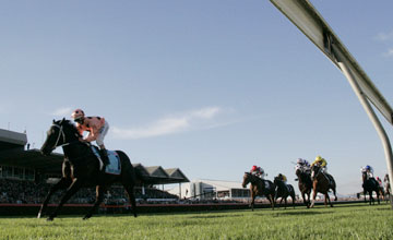 Black Caviar - ADELAIDE, AUSTRALIA - APRIL 28 Black Caviar - ADELAIDE, AUSTRALIA - APRIL 28