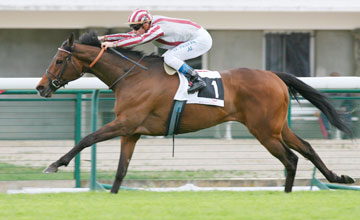 Cirrus Des Aigles