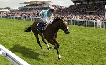 Frankel comes home in splendid isolation in the Sussex Stakes