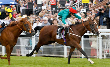 Heavy Metal - Glorious Goodwood 2/8/2012