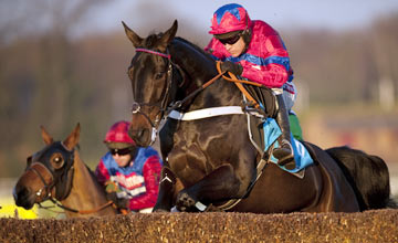 Sprinter Sacre