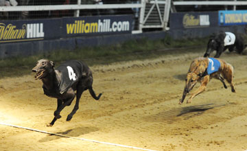 Droopys hope