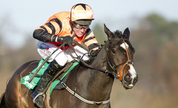 Jezki - Leopardstown 27.12.12