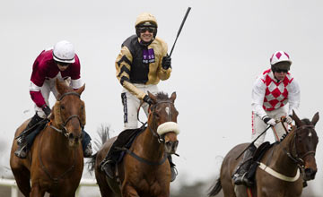 Tidal Bay - Leopardstown 28.12.12