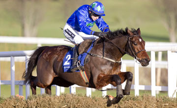 Hurricane Fly - Leopardstown 29.12.12