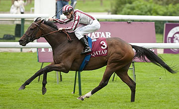 Cirrus Des Aigles - Prix Dollar - Longchamp - 02.10.10