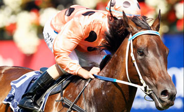 Black Caviar - Flemington - 18/02/2012