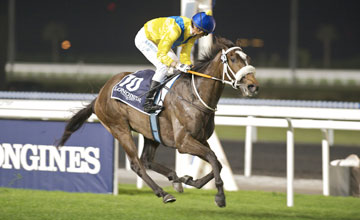 2012 Balanchine Stakes - Mahbooba