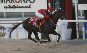 maronas horse racing results maronas horse racing results