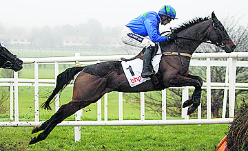 Hurricane Fly - Leopardstown - 29/01/2012