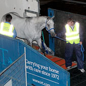 Black Caviar Black Caviar
