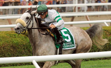 Winter Memories (El Prado) Javier Castellano up, wins The Diana at Saratoga on 7.28.2012. James J Toner trainer Phillips Racing Partnership owner Winter Memories (El Prado) Javier Castellano up, wins The Diana at Saratoga on 7.28.2012. James J Toner trainer Phillips Racing Partnership owner