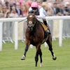 ASCOT ENGLAND JUNE 19 Tom Queally riding Frankel win The Queen Anne Stakes during Royal Ascot at Ascot racecourse on June 19 2012 in Ascot England Photo by Alan CrowhurstGetty Images