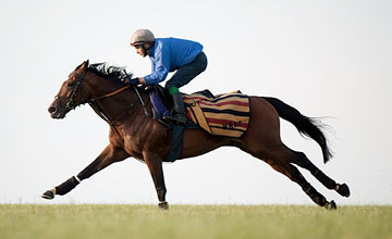 Frankel Frankel
