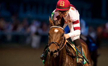 Royal Delta 17/06/2012