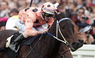 Black Caviar - Ascot 23/06/2012