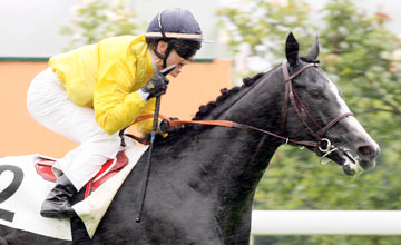 Meandre - GRAND PRIX DE SAINT-CLOUD (Groupe I)