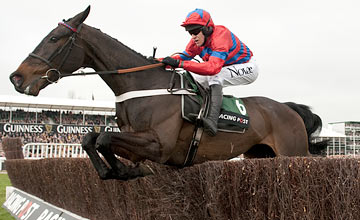 Stunning Sprinter Sacre pummels RACING POST Arkle Chase rivals