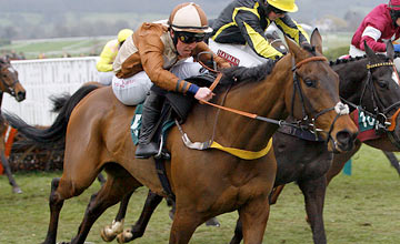 CHELTENHAM FESTIVAL LIVE: All the action as it happens on day four of the ...