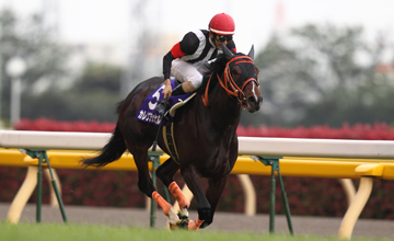 Curren Black Hill - NHK Mile Cup (G1) - 05.05.2012 Curren Black Hill - NHK Mile Cup (G1) - 05.05.2012