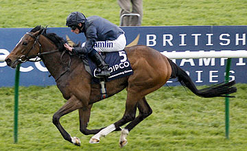 Homecoming Queen - Newmarket 06.05.2012