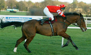 Florida Pearl - The Hennessy Gold Cup 08.02.2004 Florida Pearl - The Hennessy Gold Cup 08.02.2004