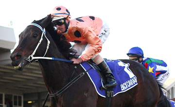 Black Caviar - Adelaide - 12/05/2012