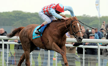 Red Cadeaux - York 18.05.2012