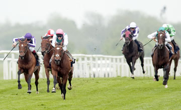 Frankel (Tom Queally) win the Lockinge - Newbury 19.5.12