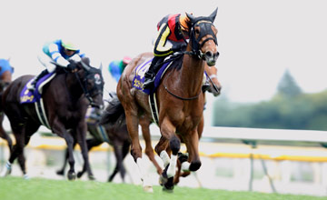 Gentildonna wins Yushun Himba