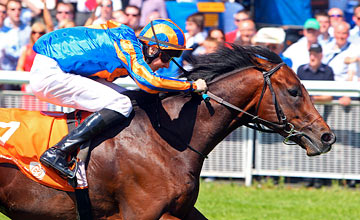 Power - The Curragh 26.05.2012