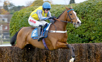 Overturn - Jason Maguire, Sandown 10.11.2012