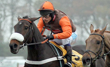 Long Run, Haydock 19/11/11