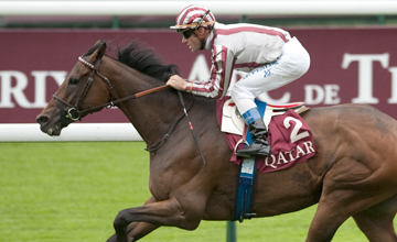 Cirrus Des Aigles: tries a new trip for the first time in a competitive Group 1