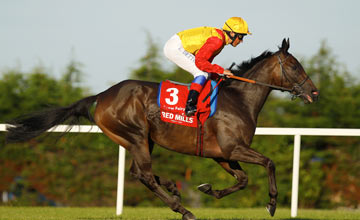 Snow Fairy, Frankei dettori, Leopardstown 08.09.2012