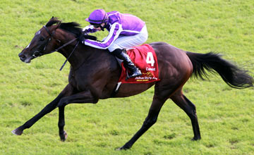 Camelot, The Curragh 30.06.2012