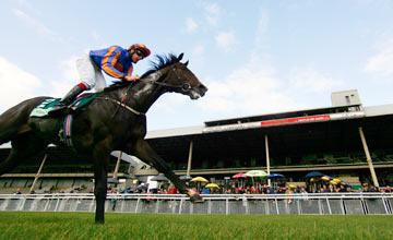 Battle Of Marengo, The Curragh 30.09.2012