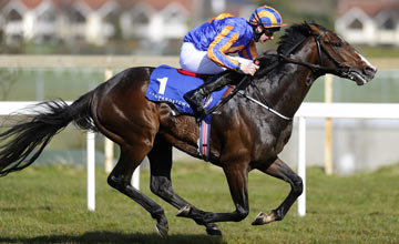 Battle Of Marengo - Leopardstown 14.04.2013