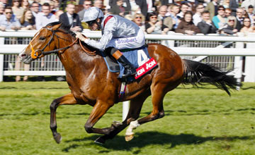 Olympic Glory - Newbury 20.04.2013