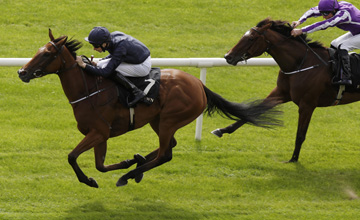 Tapestry - Curragh 11/08/2013