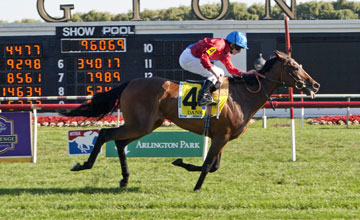 DANK -Arlington Park on 8-17-13 DANK -Arlington Park on 8-17-13