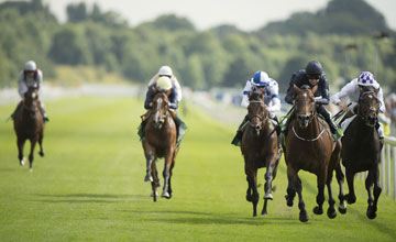 Toronado (left): ace miler was well beaten in Wednesday’s Juddmonte International