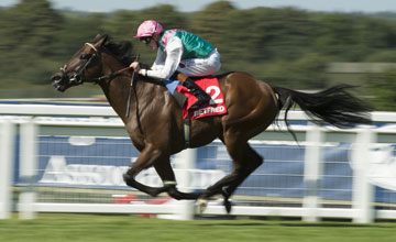 Kingman (James Doyle) wins the Solario stakes Sandown 31.8.13 Kingman (James Doyle) wins the Solario stakes Sandown 31.8.13