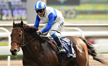 Lord Kanaloa, Hong Kong Sprint, Sha Tin - 08.12.13 Lord Kanaloa, Hong Kong Sprint, Sha Tin - 08.12.13