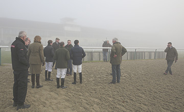 Foggy-lingfield Foggy-lingfield