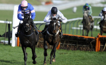 Rolling Star (right) beats Irish Saint - Cheltenham - 26.01.13